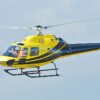 Curso EAD - Familiarização dos Helicópteros AS355 - Image 2